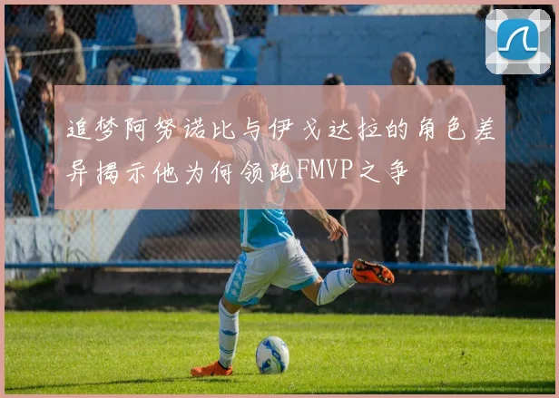 追梦阿努诺比与伊戈达拉的角色差异揭示他为何领跑FMVP之争