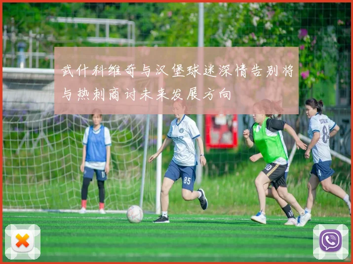 武什科维奇与汉堡球迷深情告别将与热刺商讨未来发展方向